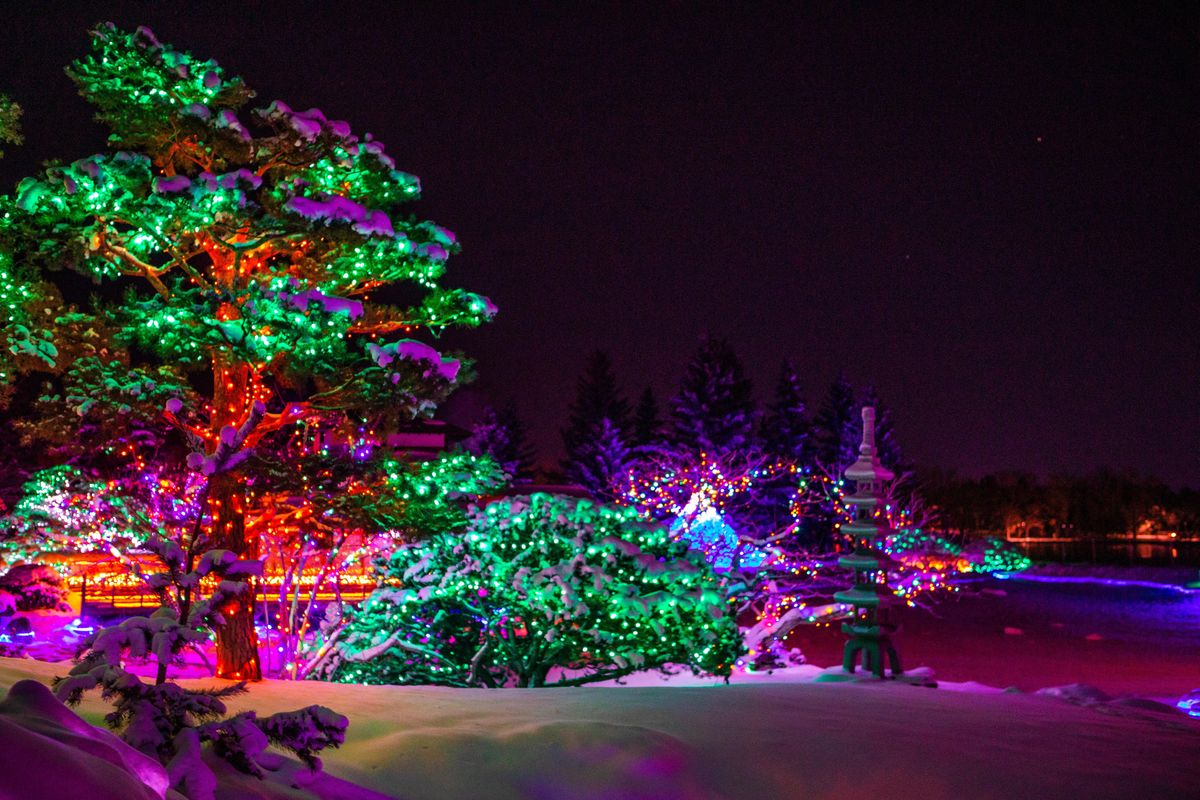 Winter Light Festival | Nikka Yuko Japanese Garden, Lethbridge, AB ...