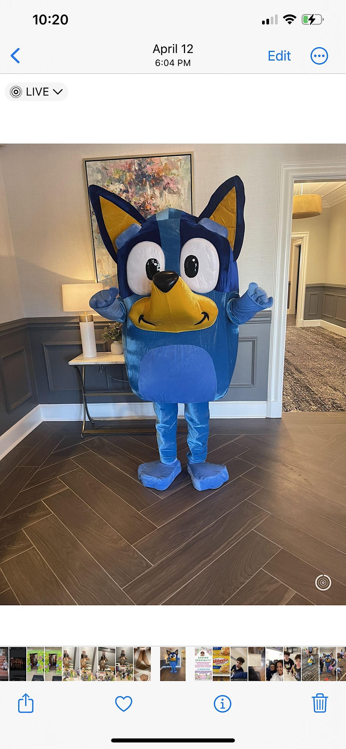Bluey Appearance Spring Vendor Pop Up at 4140 W Hirsch