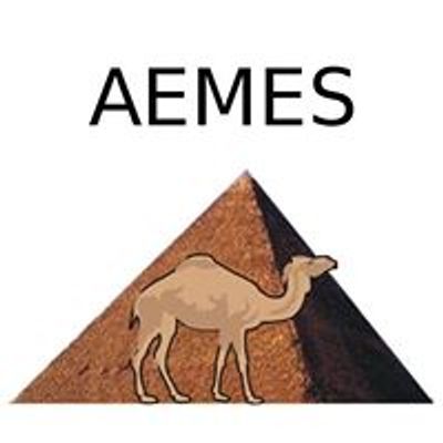 AEMES - The Ancient Egypt and Middle East Society, Lincoln