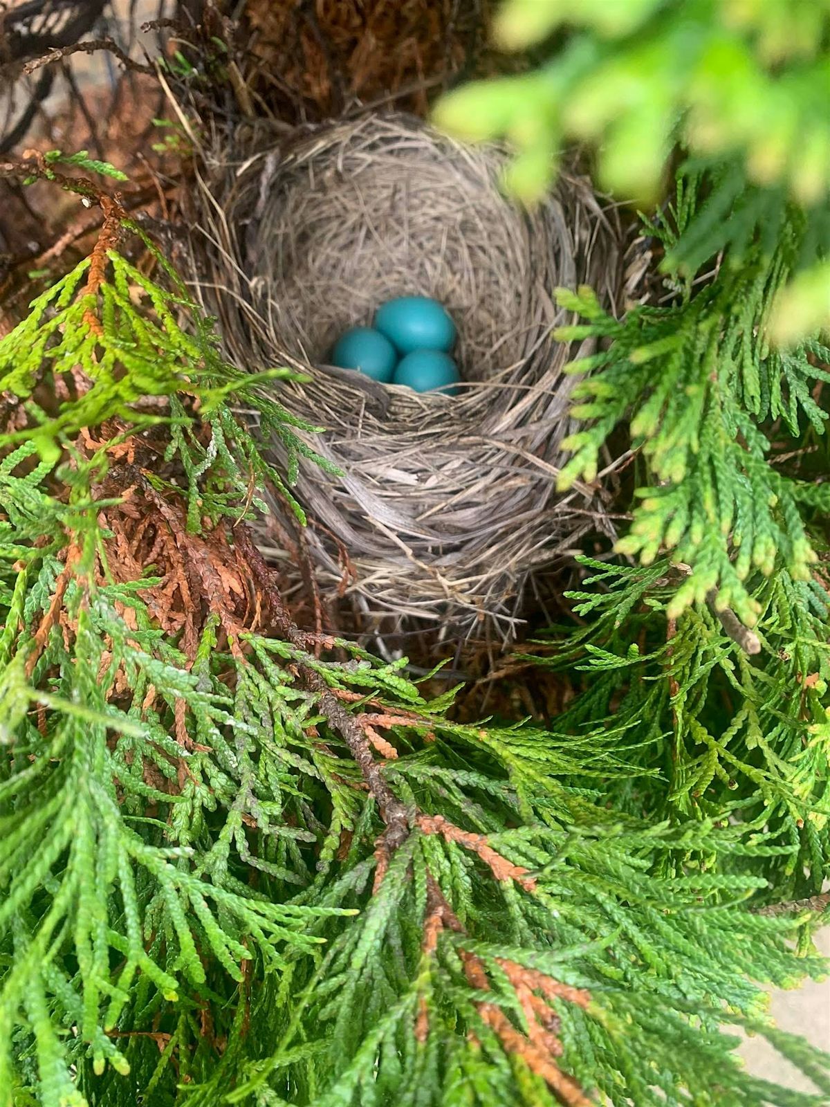 One day childbirth preparation intensive