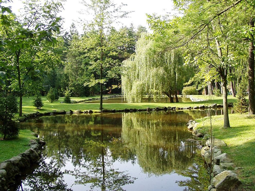 Krucker 's Summer Picnic