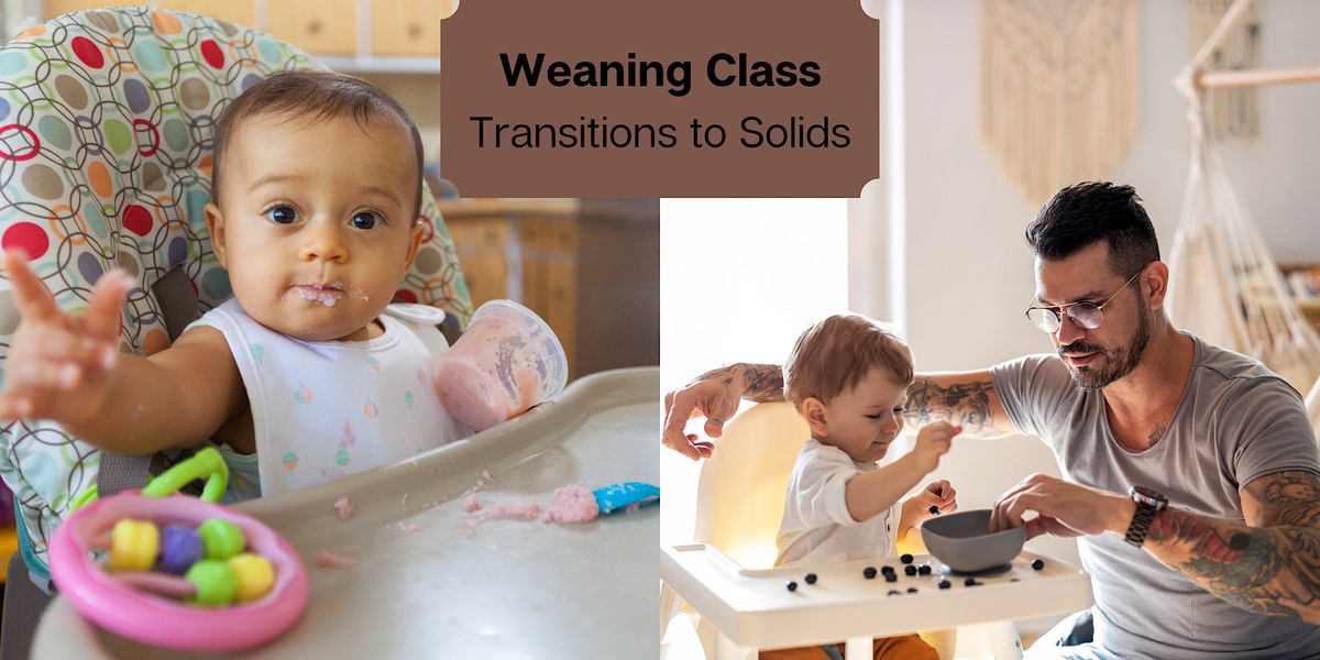 Weaning Programme Baby Weaning Class - Transitioning to Solids at First Born Program of ...