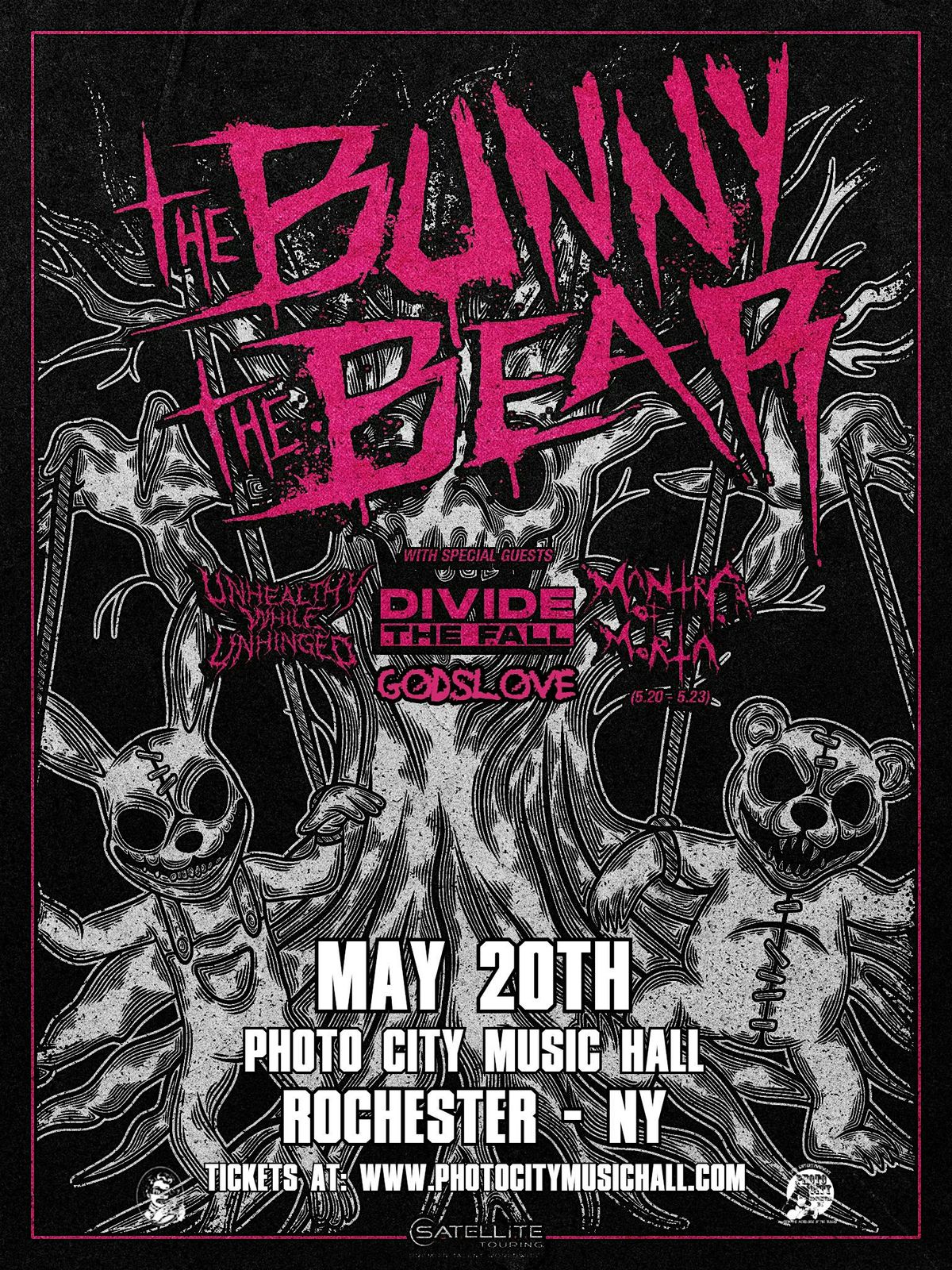 The Bunny The Bear - Rochester, NY
