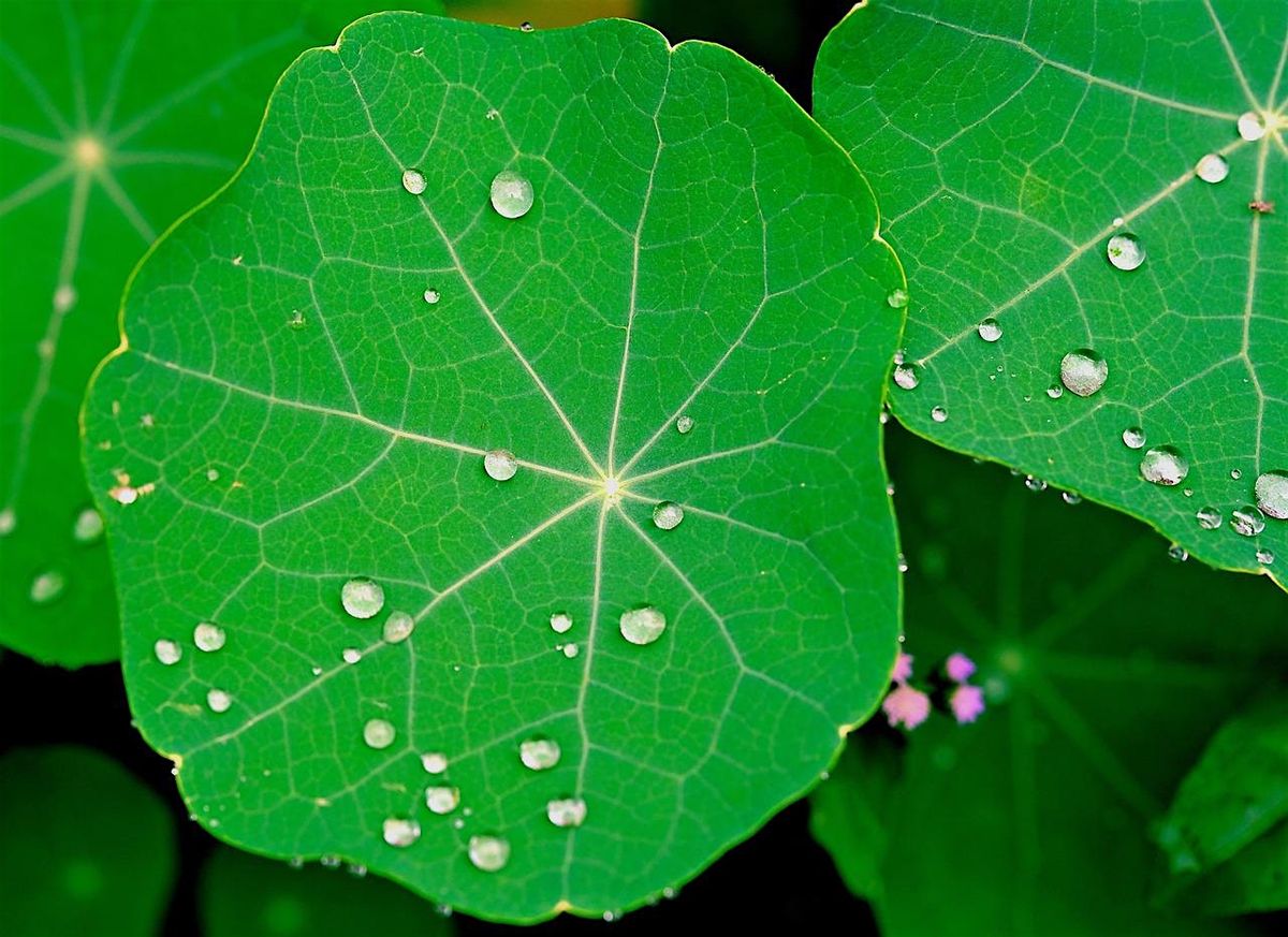 Holding Without Carrying - A Women's Workshop