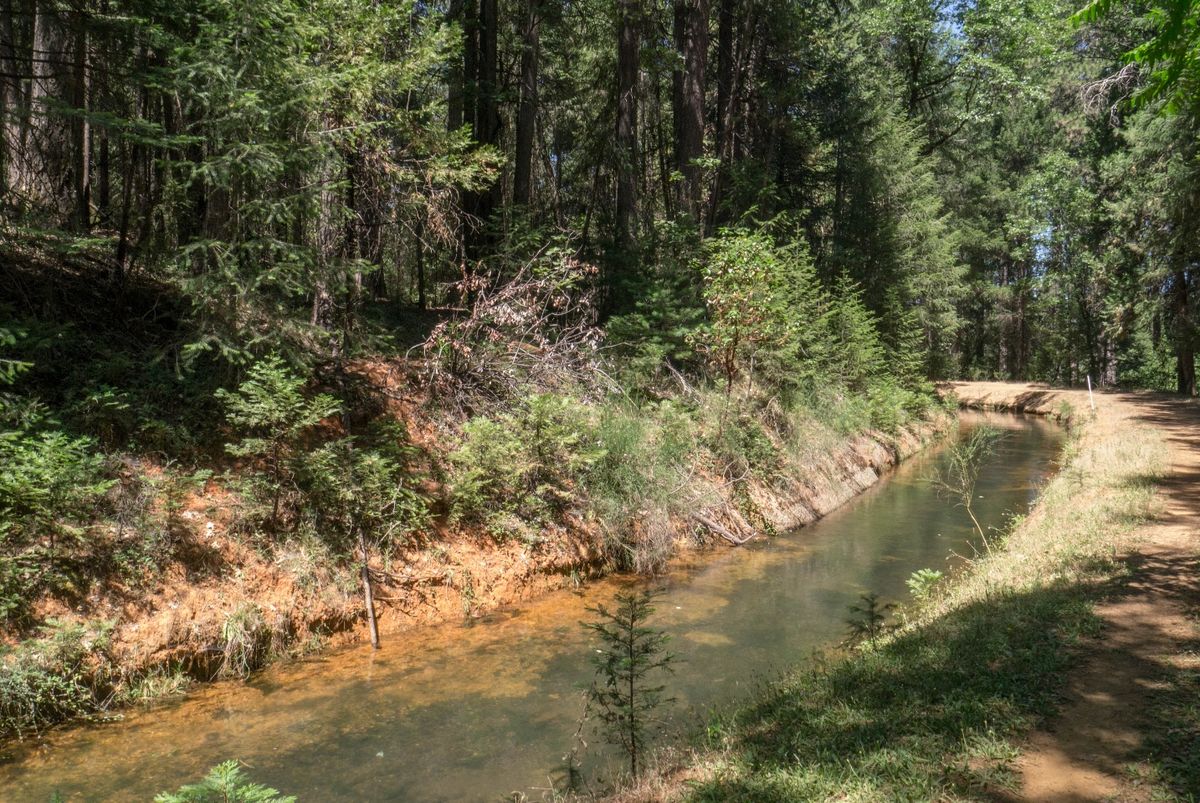 Site Walk Little Deer Creek Landscape Resilience Project Nevada