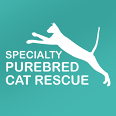 Specialty Purebred CAT Rescue