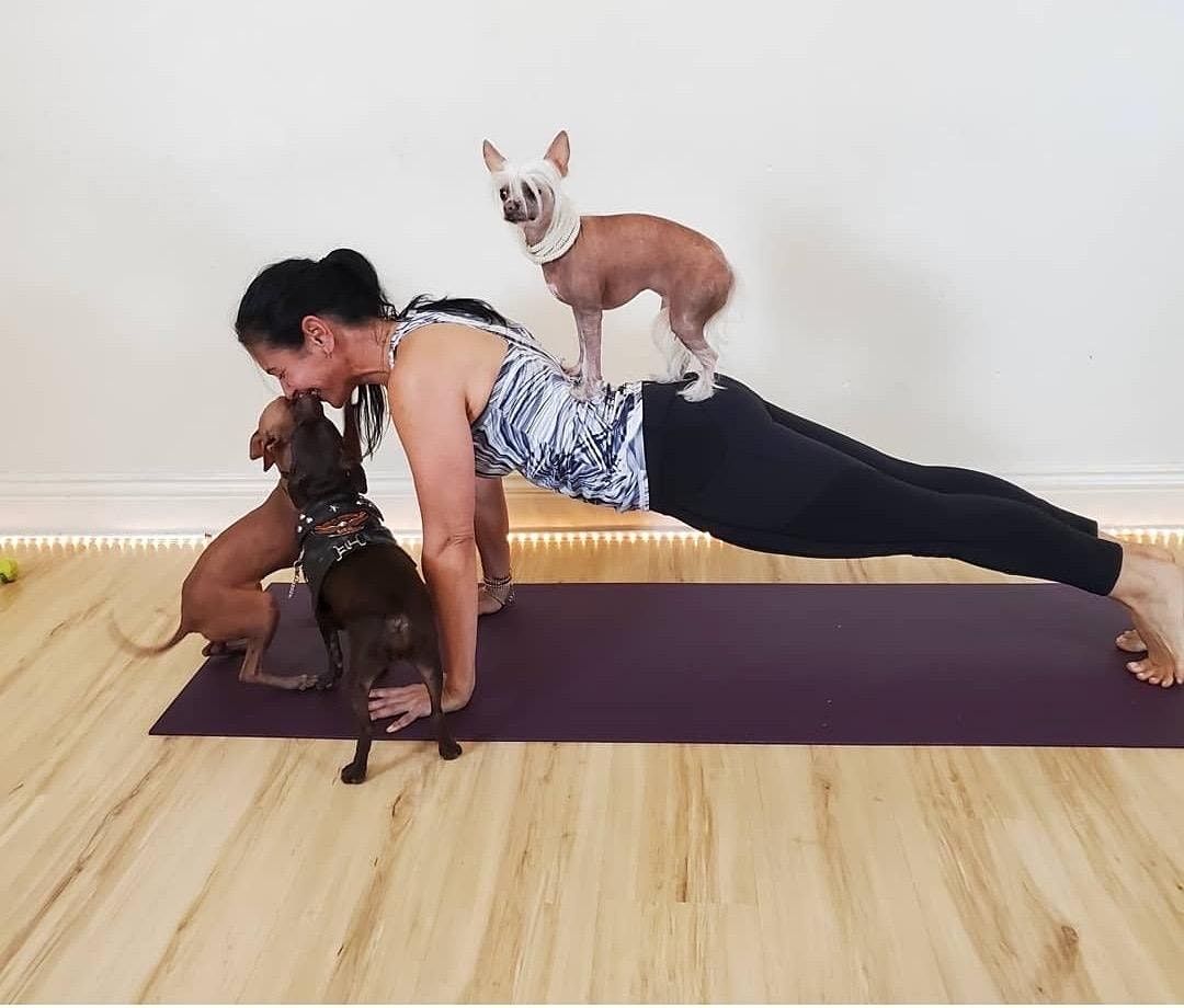 YOGA WITH PUPPIES!