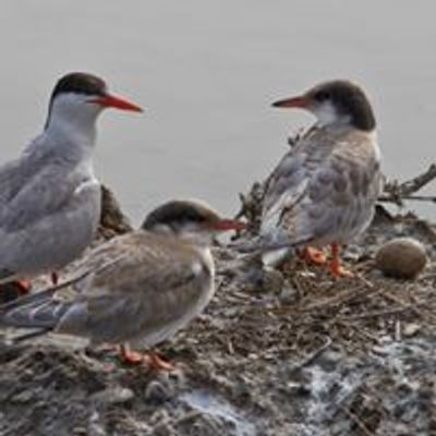 Centro Visite Salina di Cervia