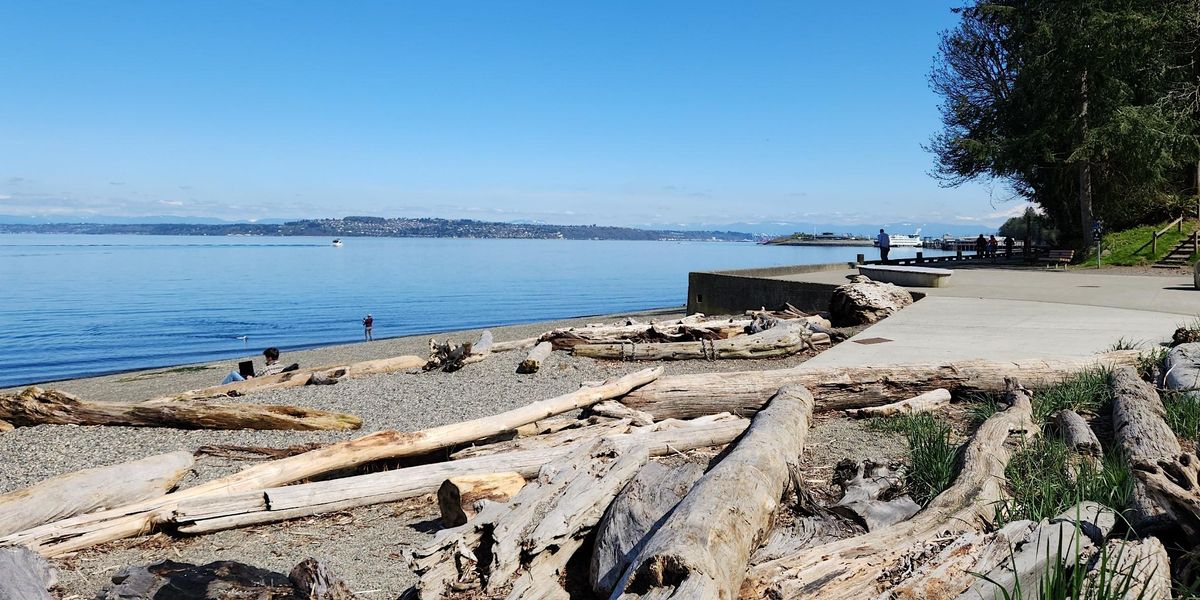 Point Defiance Courthouse PAWA Paints Point Defiance Park 2023 at Point Defiance Park, Tacoma on ...