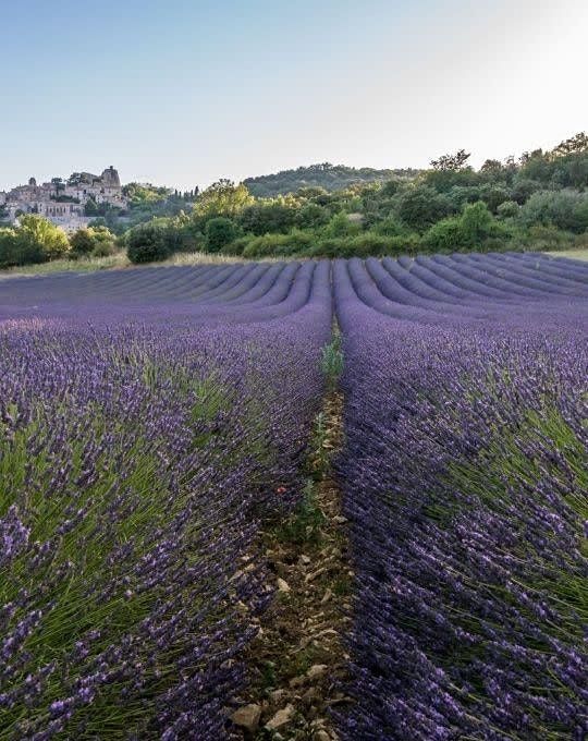 2022 Young Living Convention Viewing Hastings College Alumni