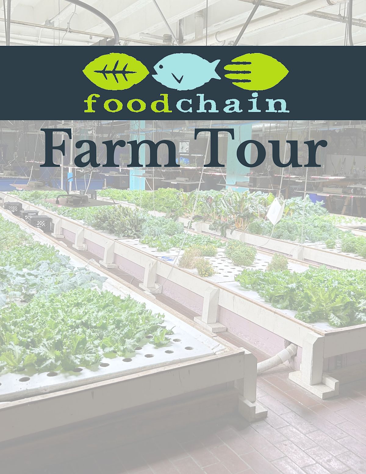 FoodChain Aquaponics Tour