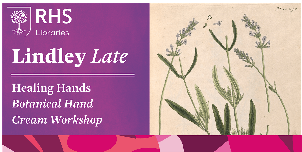 Lindley Late - Healing Hands: Botanical Hand Cream Workshop