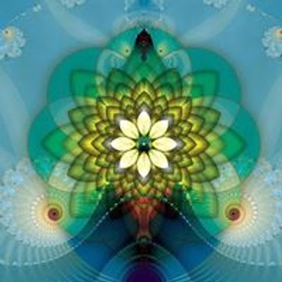 The Mindful Lotus