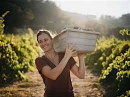 Women in Wine: The Wine Goddess to Know!