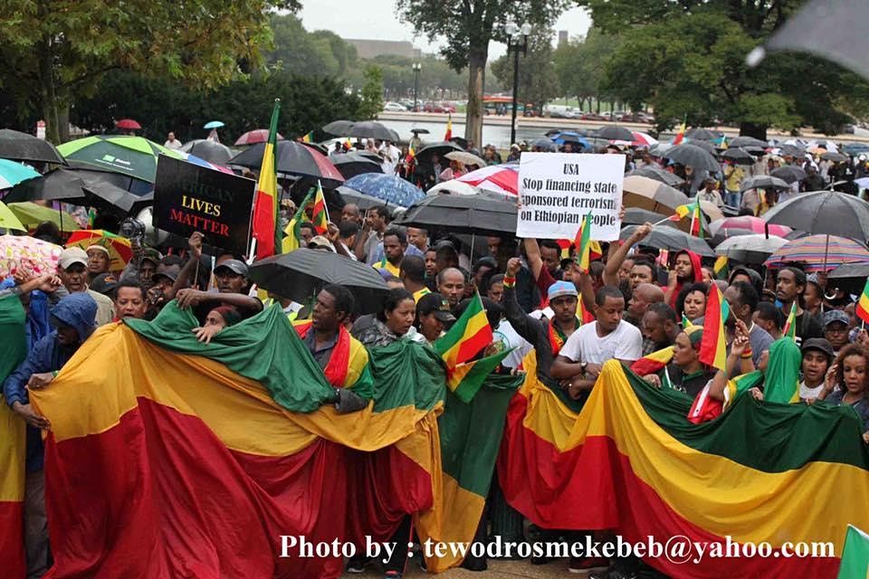 Emergency Action for Ethiopia: Turning Our Potential into Political Power