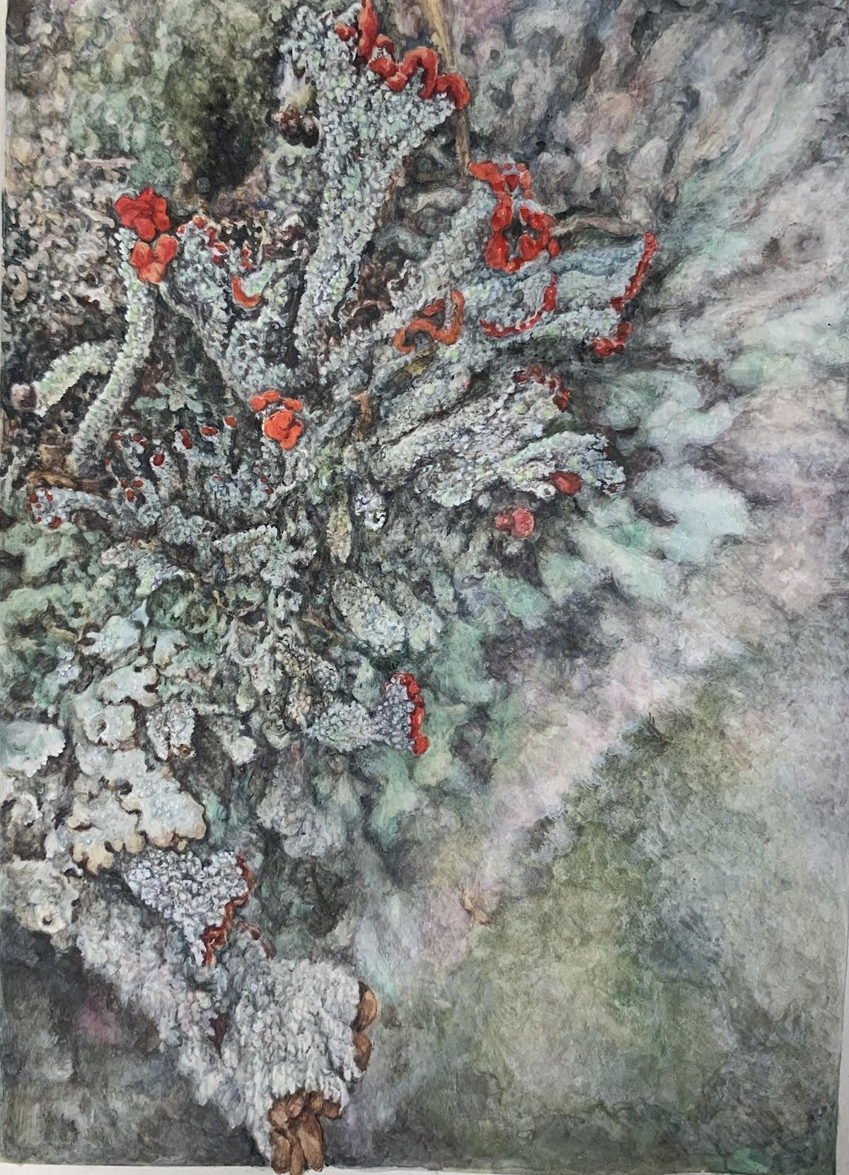 Unveiling Miniature Forests The Microscopic World of Bryophytes