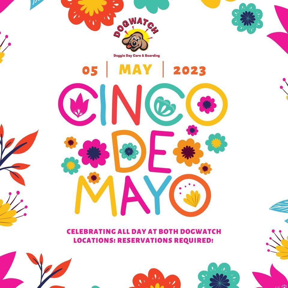 Margarita Day 2022 DogWatch Doggie Daycare & Boarding (Fayetteville