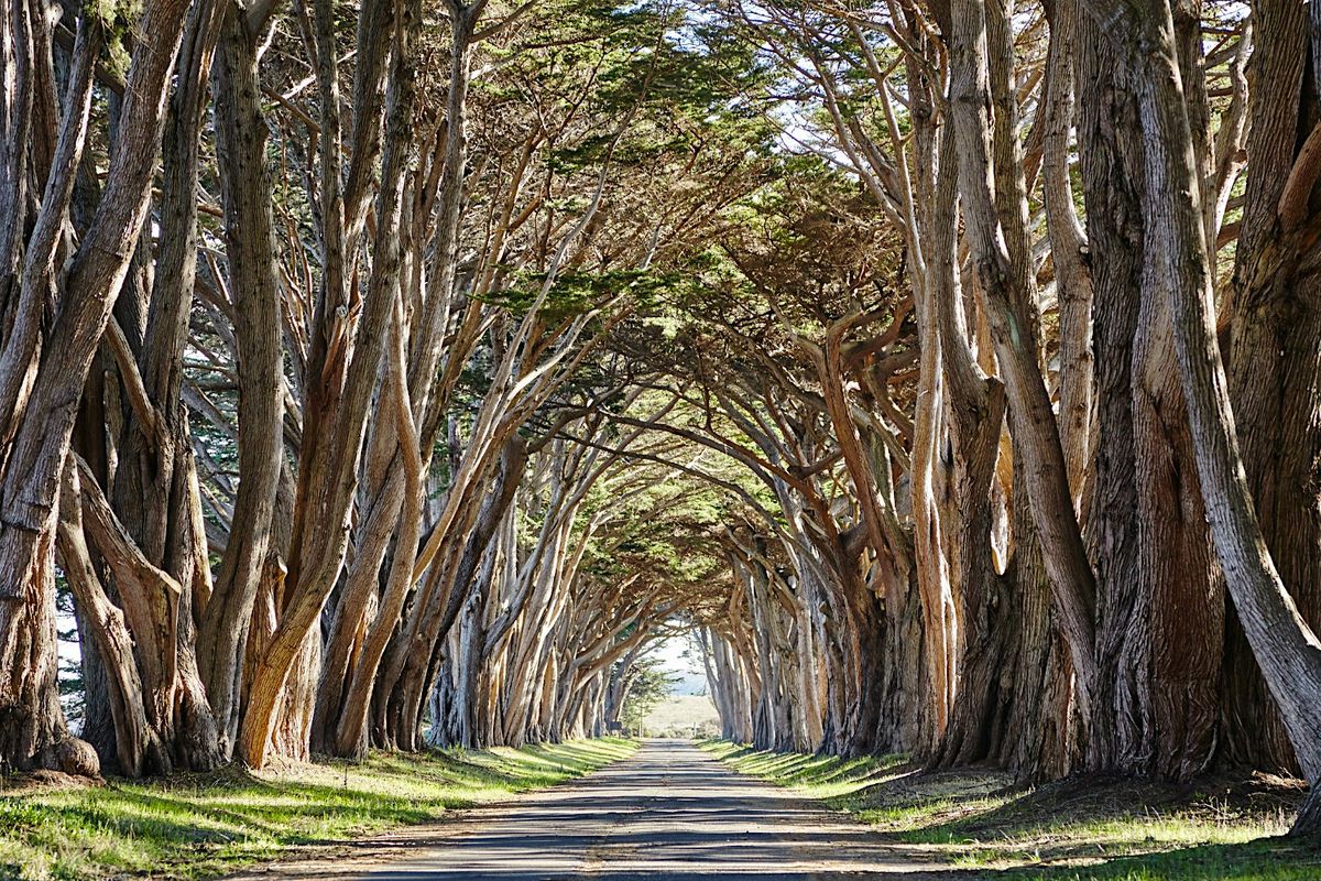 Self-Guided Driving Tour of Point Reyes National Seashore California
