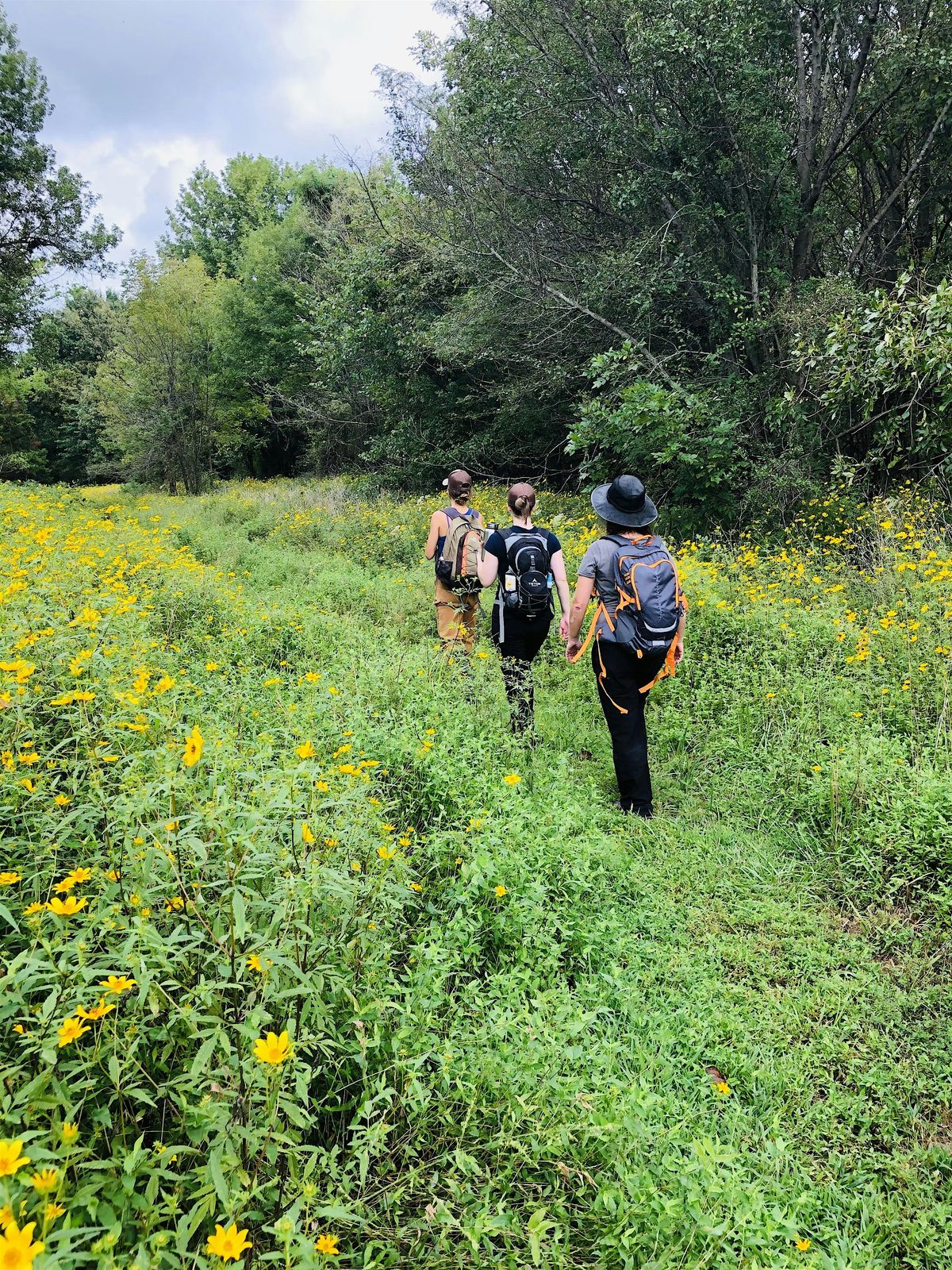 Girl Scout Volunteer Day at Wilson Springs Preserve