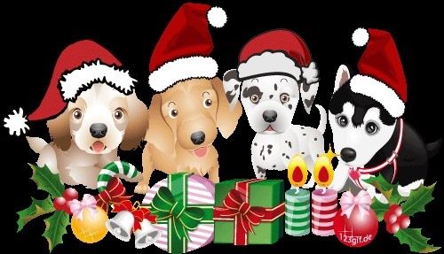 Holiday Pop Up Pawty