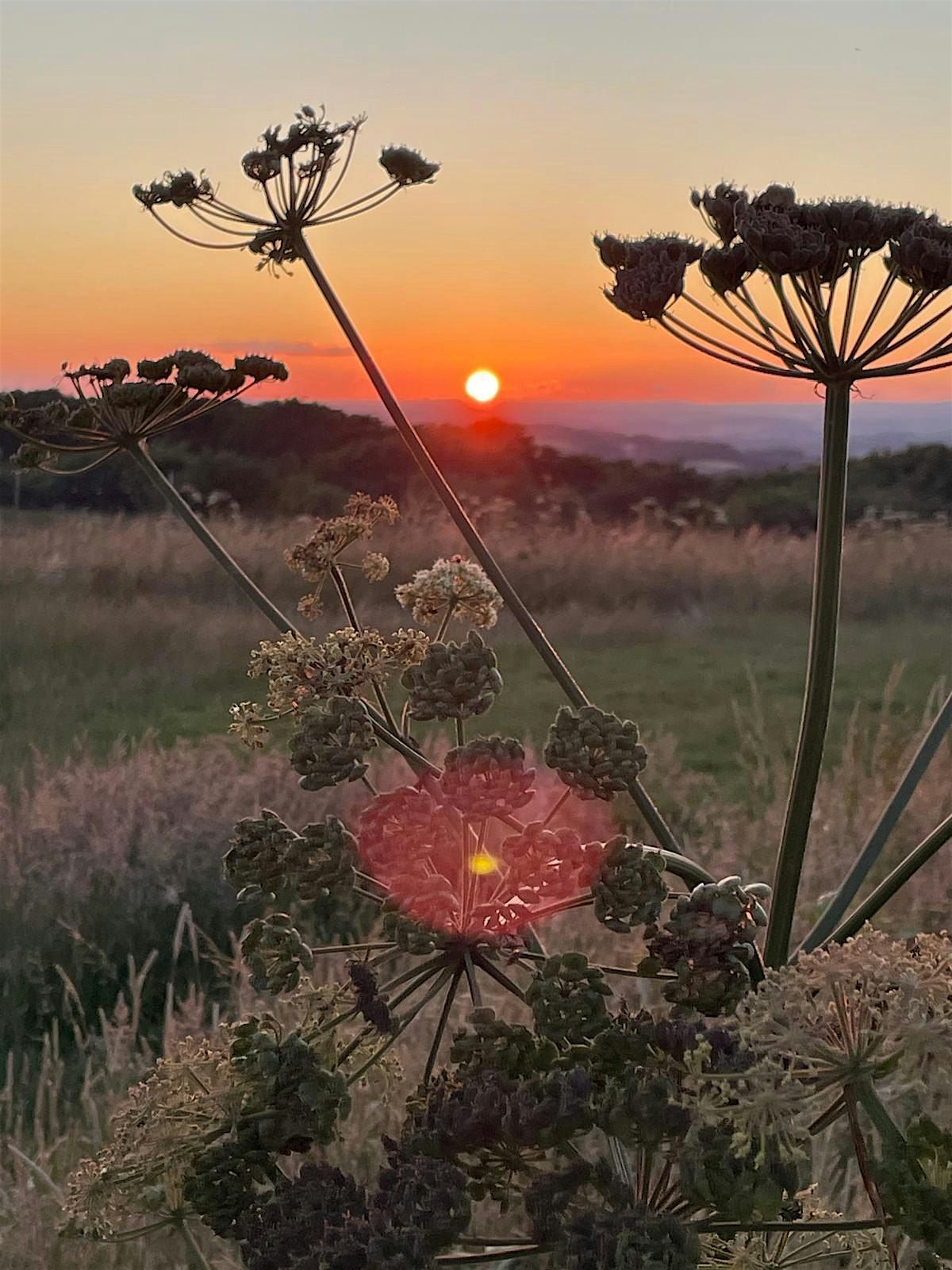 South West Independent Occupational Therapists' Support and Networking Day