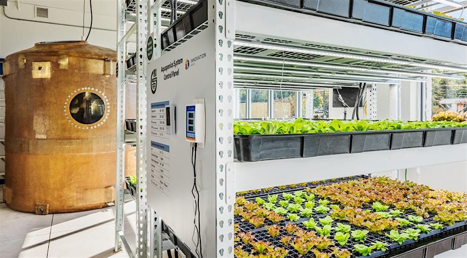 Aquaponics Vertical Farm Tour