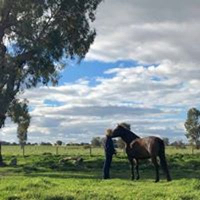 Equine Reiki