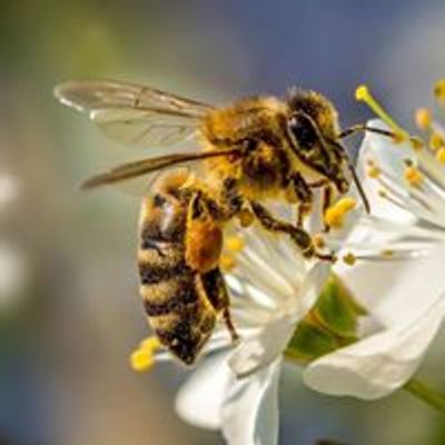 Berks and  Schuylkill Beekeepers Association