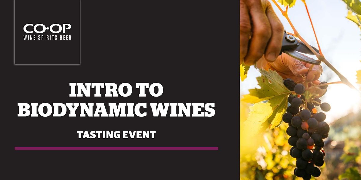 Fruit Days, Cow Horns and Full Moons An Intro To Biodynamics Beddington Coop Wine Spirits