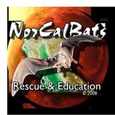 NorCal Bats