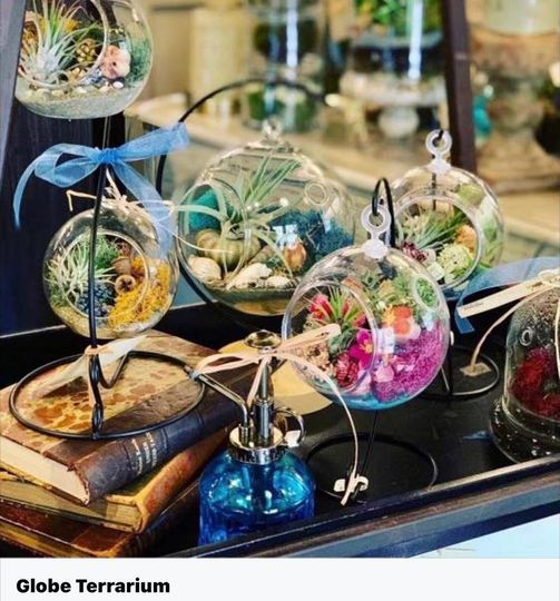 Globe Terrarium Class 1320 Dorris Rd, Douglasville, GA 301343525