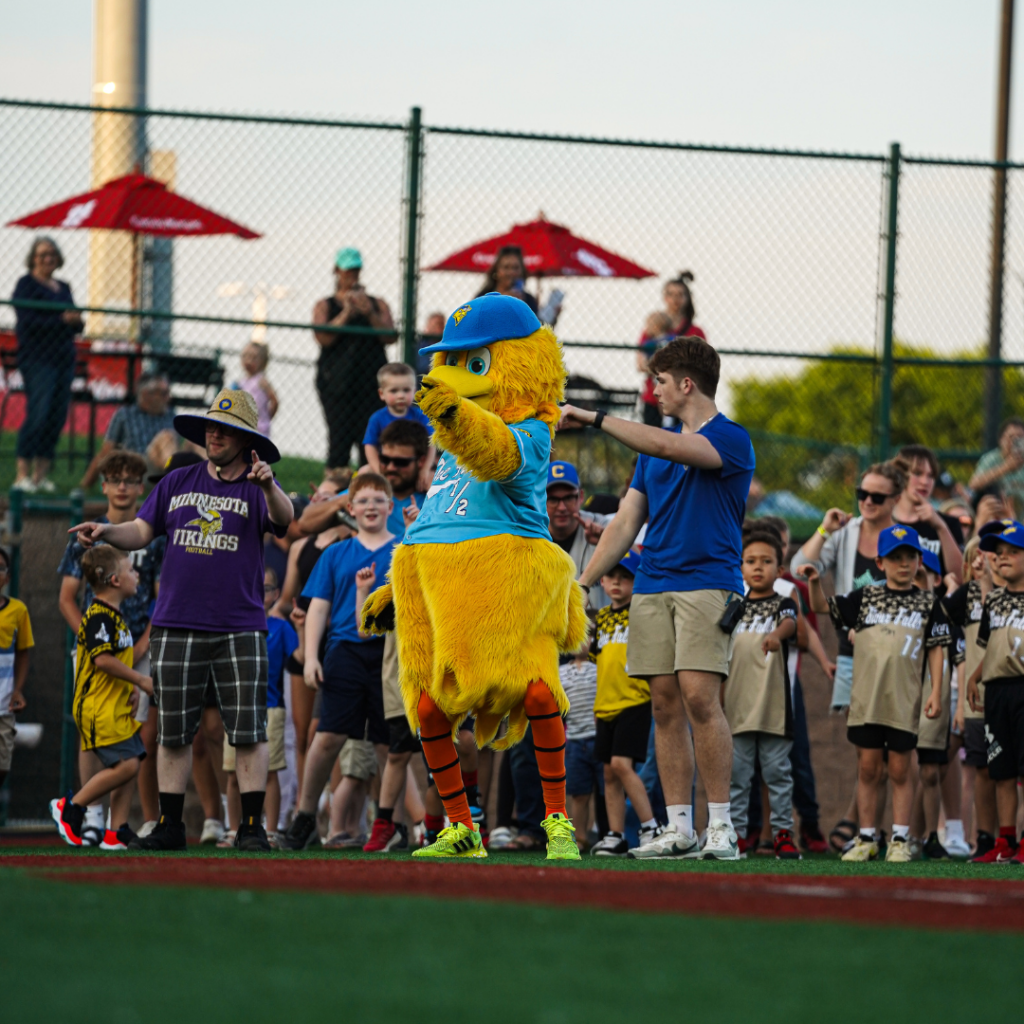 Sioux Falls Canaries at Gary SouthShore RailCats at U.S. Steel Yard