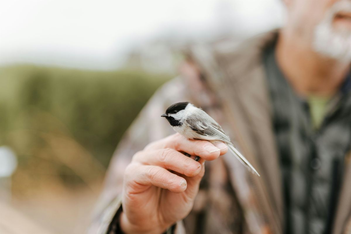 Monthly Bird Banding & Bird Walk