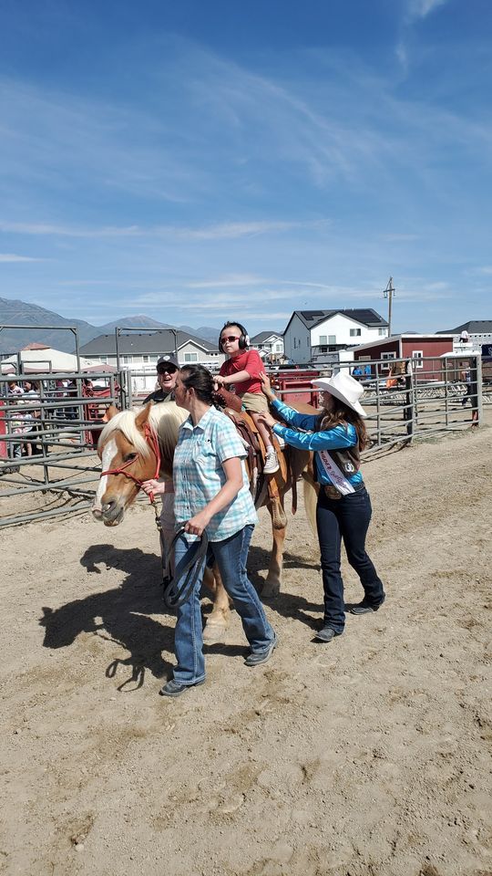 Mascot Miracles Exceptional Stick Horse Rodeo Pony Express Rodeo
