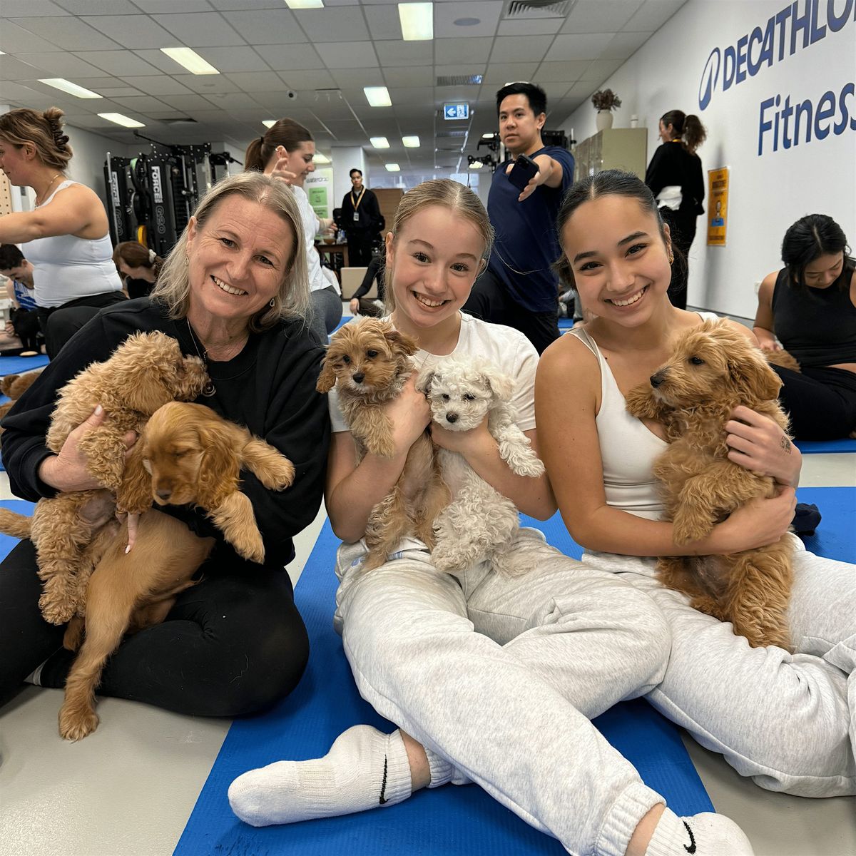 Puppy Yoga Sydney - Sydney CBD