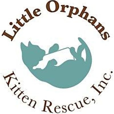 Little Orphans Kitten Rescue