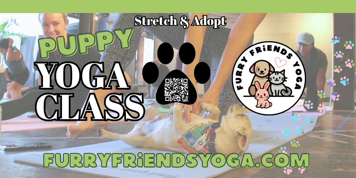 Puppy Yoga at Locals Marketplace