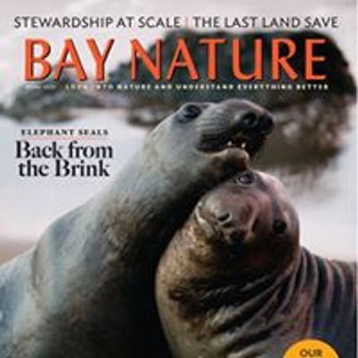 Bay Nature magazine