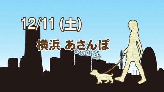 横浜あさんぽ12月クラス 横浜赤レンガ倉庫 Yokohama Red Brick Warehouse December 11 21
