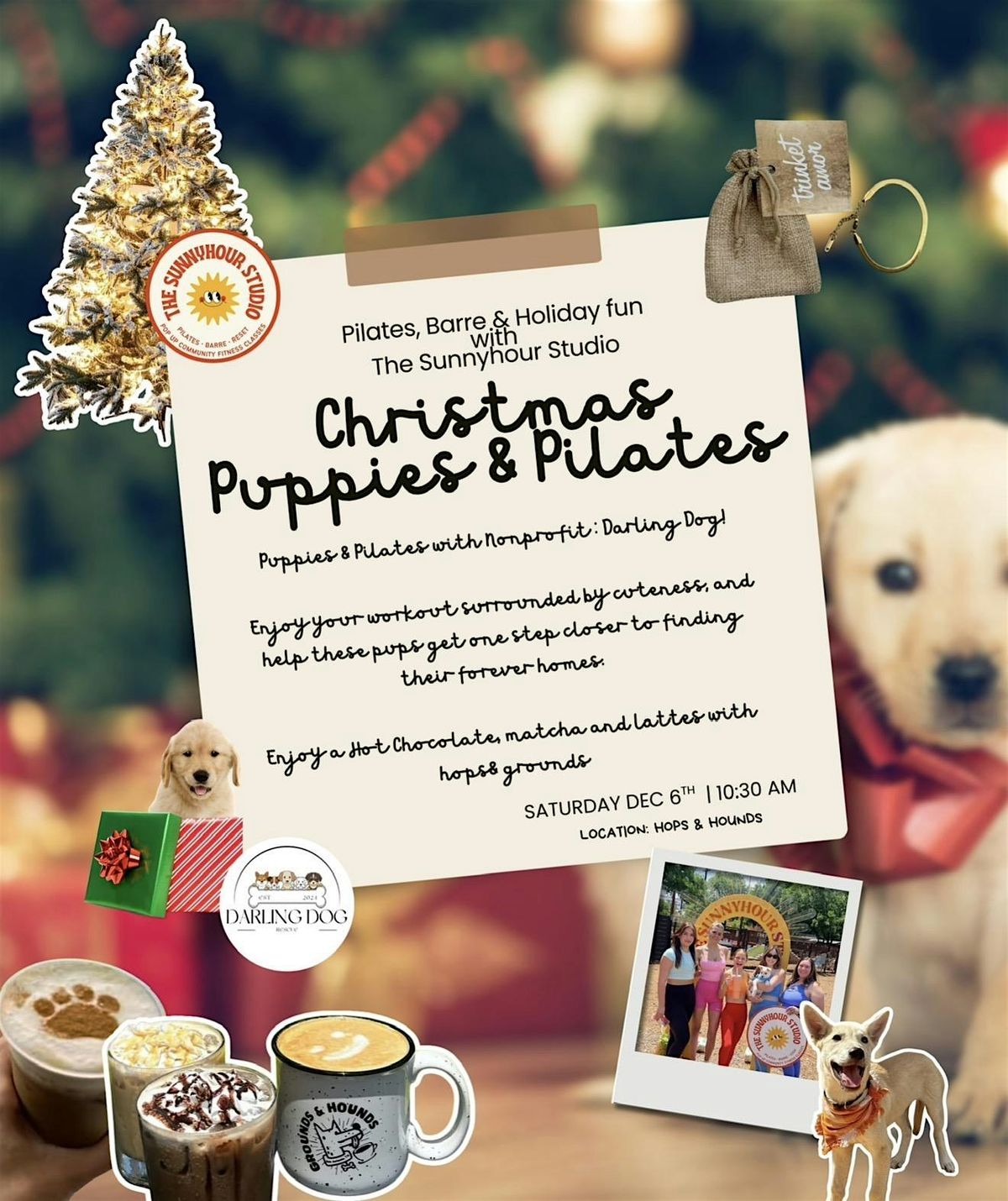 Puppies & Pilates Christmas theme @ HOPS&HOUNDS