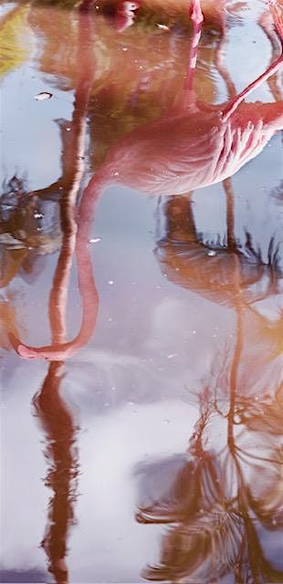 Artist Talk: Anastasia Samoylova