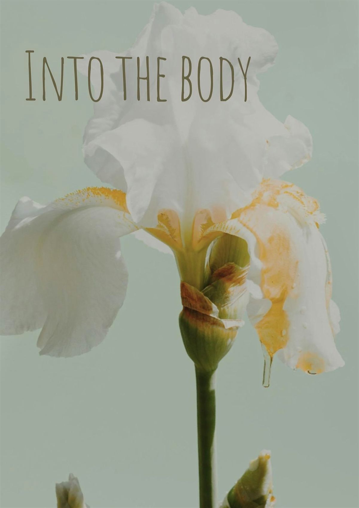 Into the Body