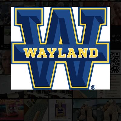 Wayland Baptist University Wrestling