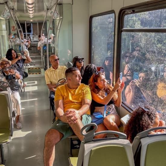 Monasterio de Montserrat con Tren Cremallera - Tour Guiado desde Barcelona