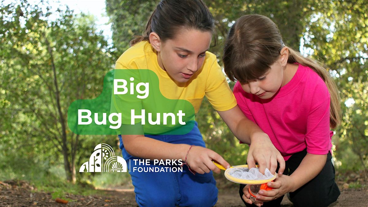 Big Bug Hunt at Alexandra Park