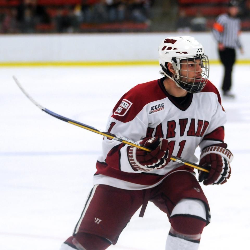 Dartmouth Big Green at Harvard Crimson Mens Ice Hockey at Bright-Landry Hockey Center