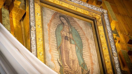 bilingual-mass-in-honor-of-our-lady-of-guadalupe-cathedral-basilica