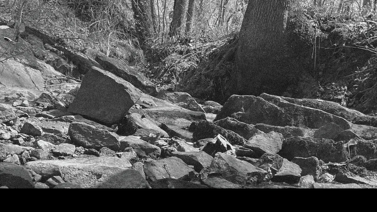 The Avett Brothers, Mike Patton in North Charleston