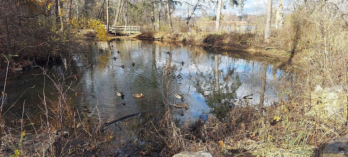 Catherine Chevalier Woods walk