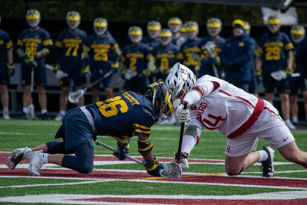 Harvard Crimson vs. Michigan Wolverines